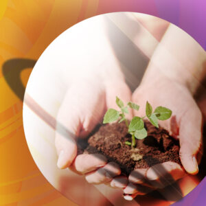 Ecología, influencia del medio natural y el factor humano